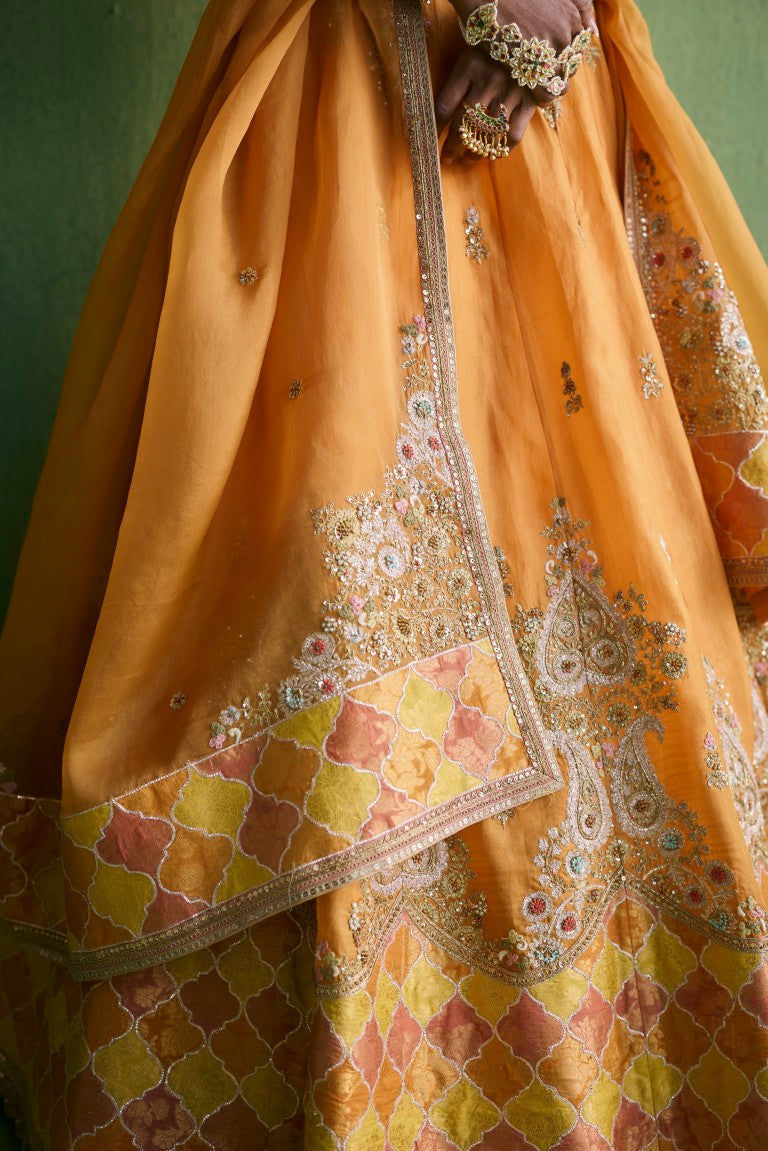 Trellis Patchwork organza Lehenga with yellow dupatta