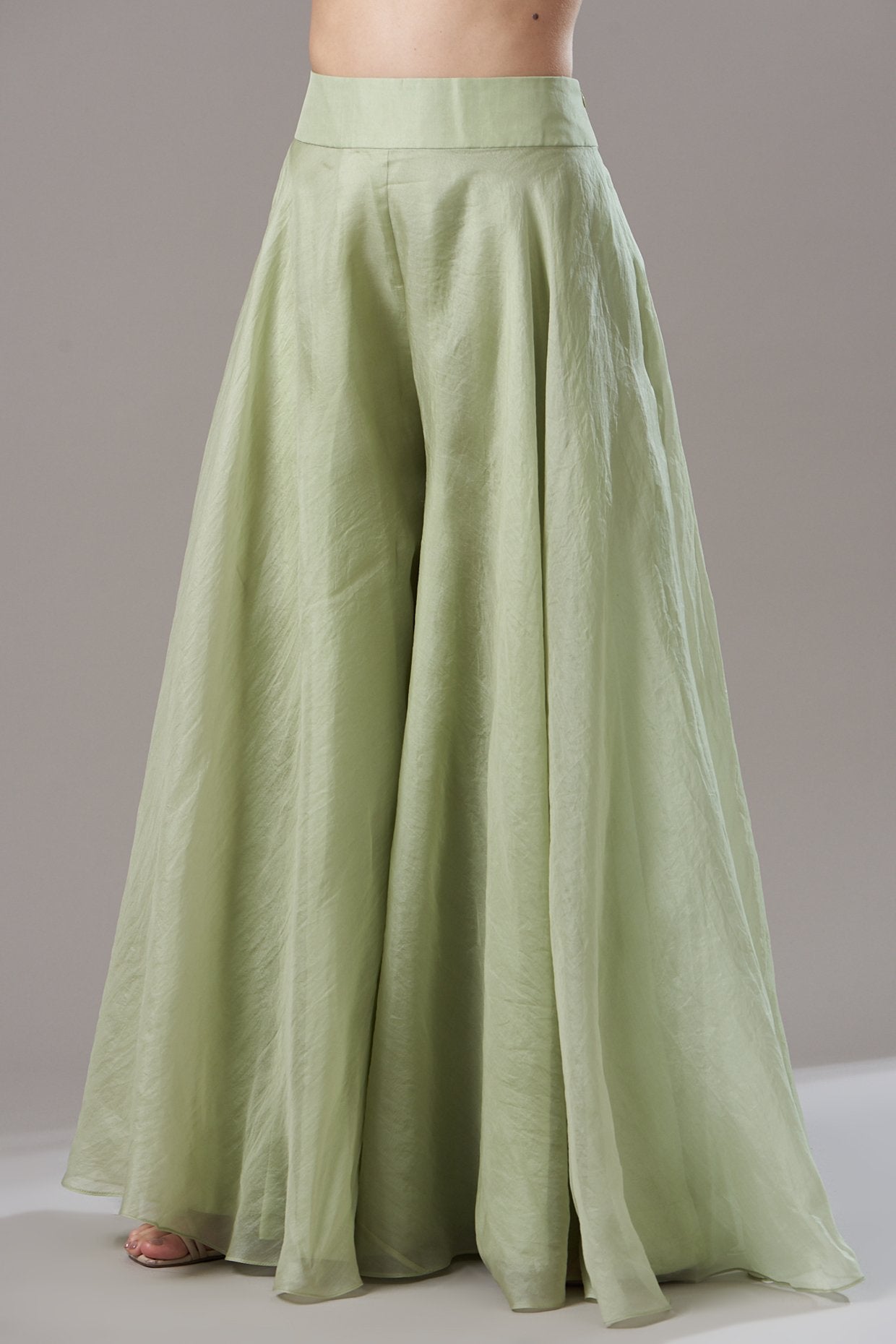 Olive Green Organza Sharara Set