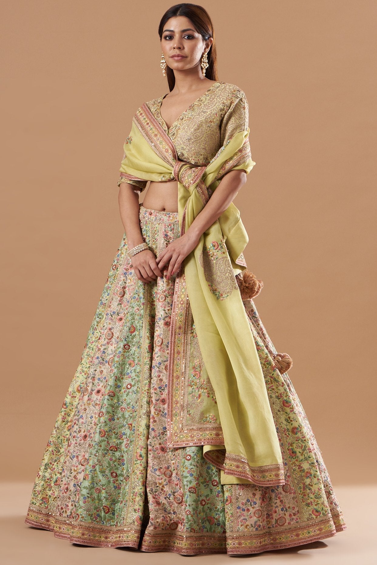 Multi-Colored Embroidered Lehenga Set